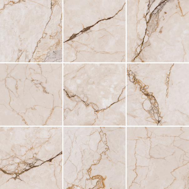 Recer Paonazzo piastrella M10x10 naturale marmo nero