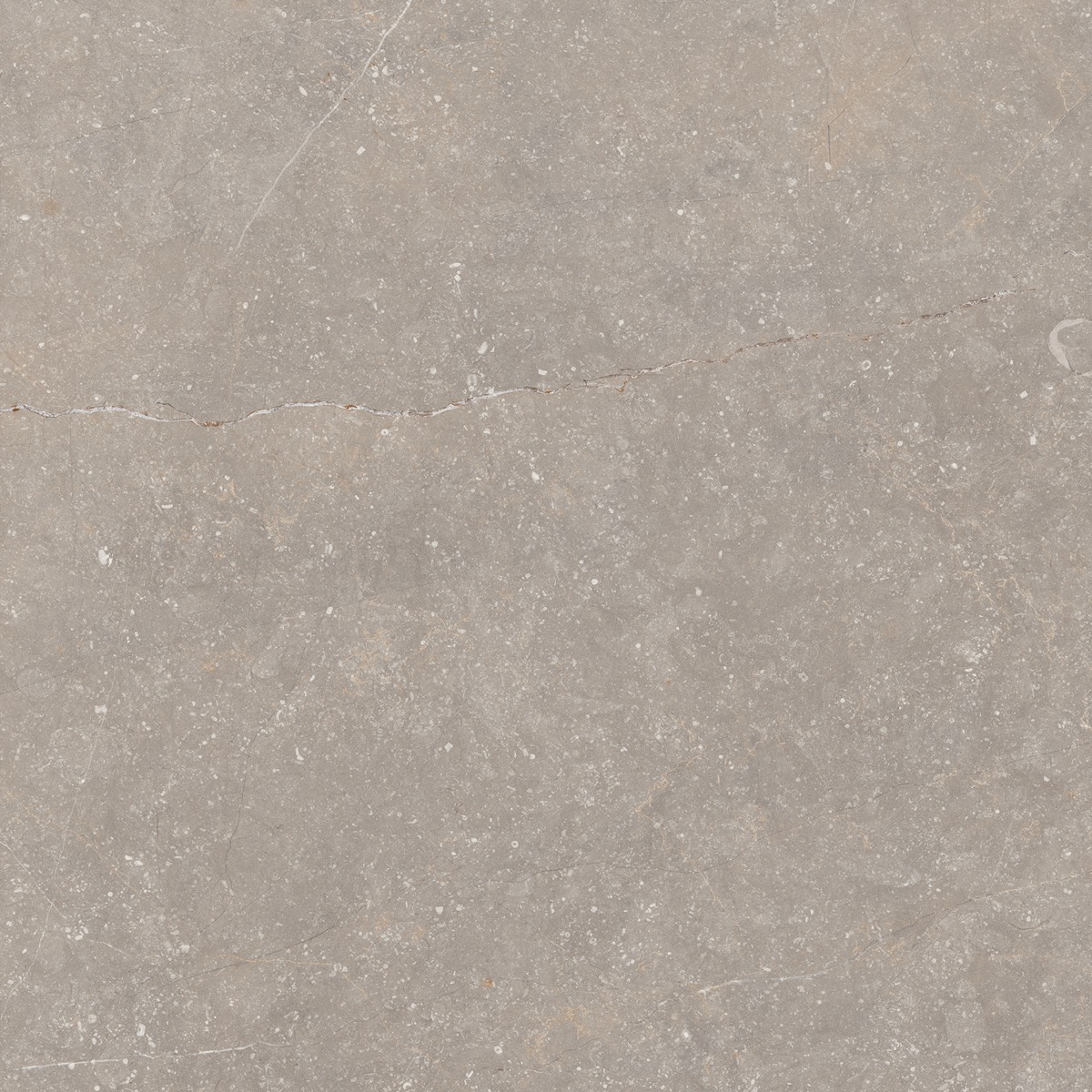 Recer Bluenza Warm Grey 60x60 piastrella grigia naturale