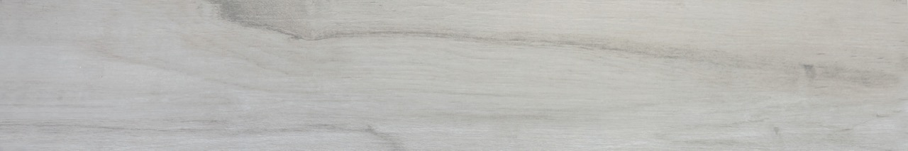 Recer Live Grey Fossil piastrella 20x120 rettificata
