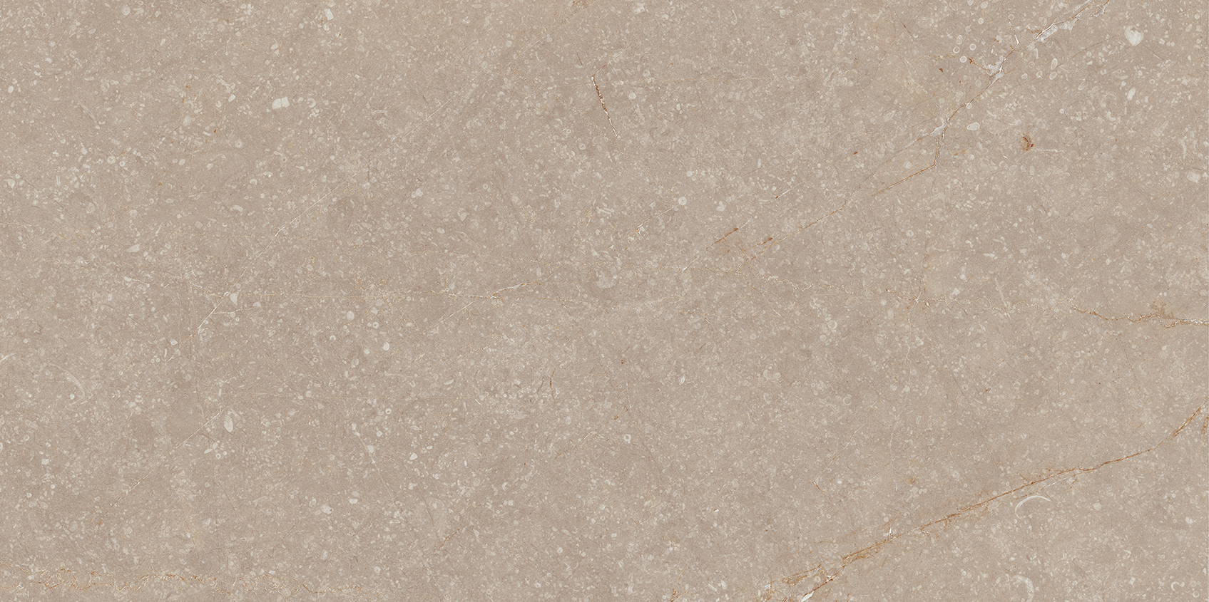 Recer Bluenza Earth Clay piastrella 30x60R naturale