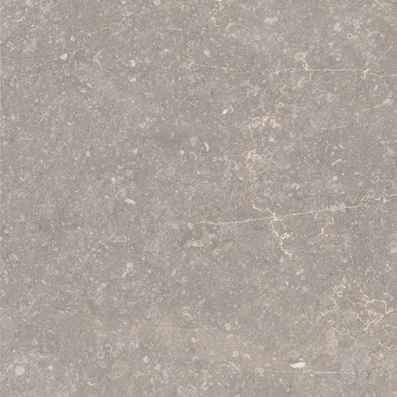 Recer Bluenza Warm Grey piastrelle 20x20 naturale grigio