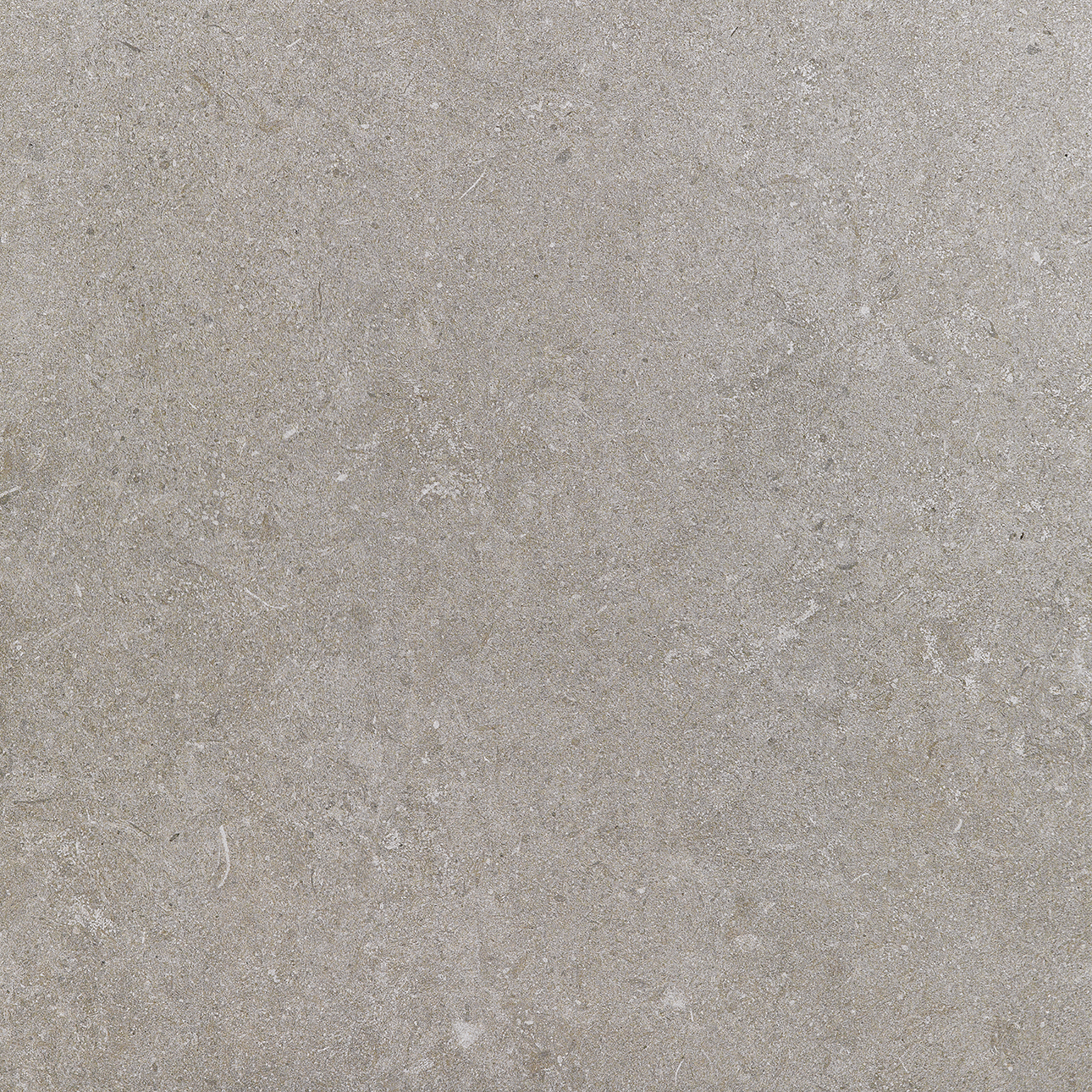 Recer Freestone Dark Grey piastrella 45x45 grigio pietra