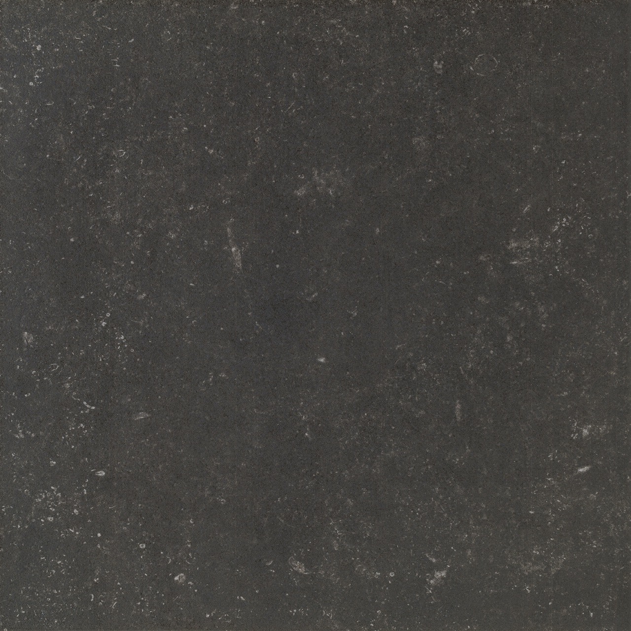 Recer Born Stone Anthracite piastrella 60x60 gres antracite pietra