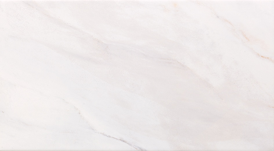 Recer Majestic Rivestimento Grey 30x60 Brilho