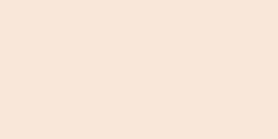 Recer Lumea Peach Sand 30x60R piastrella Natural pesca
