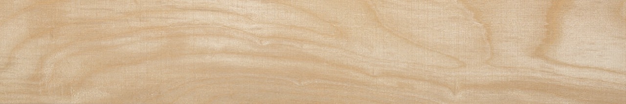 Recer Verity Dandy 15x90R Gres Effetto Legno Naturale