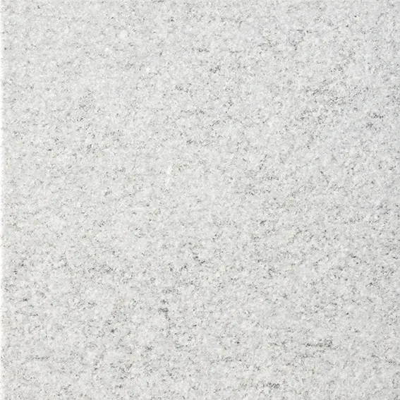 Recer Native Grey piastrella 20x20 naturale