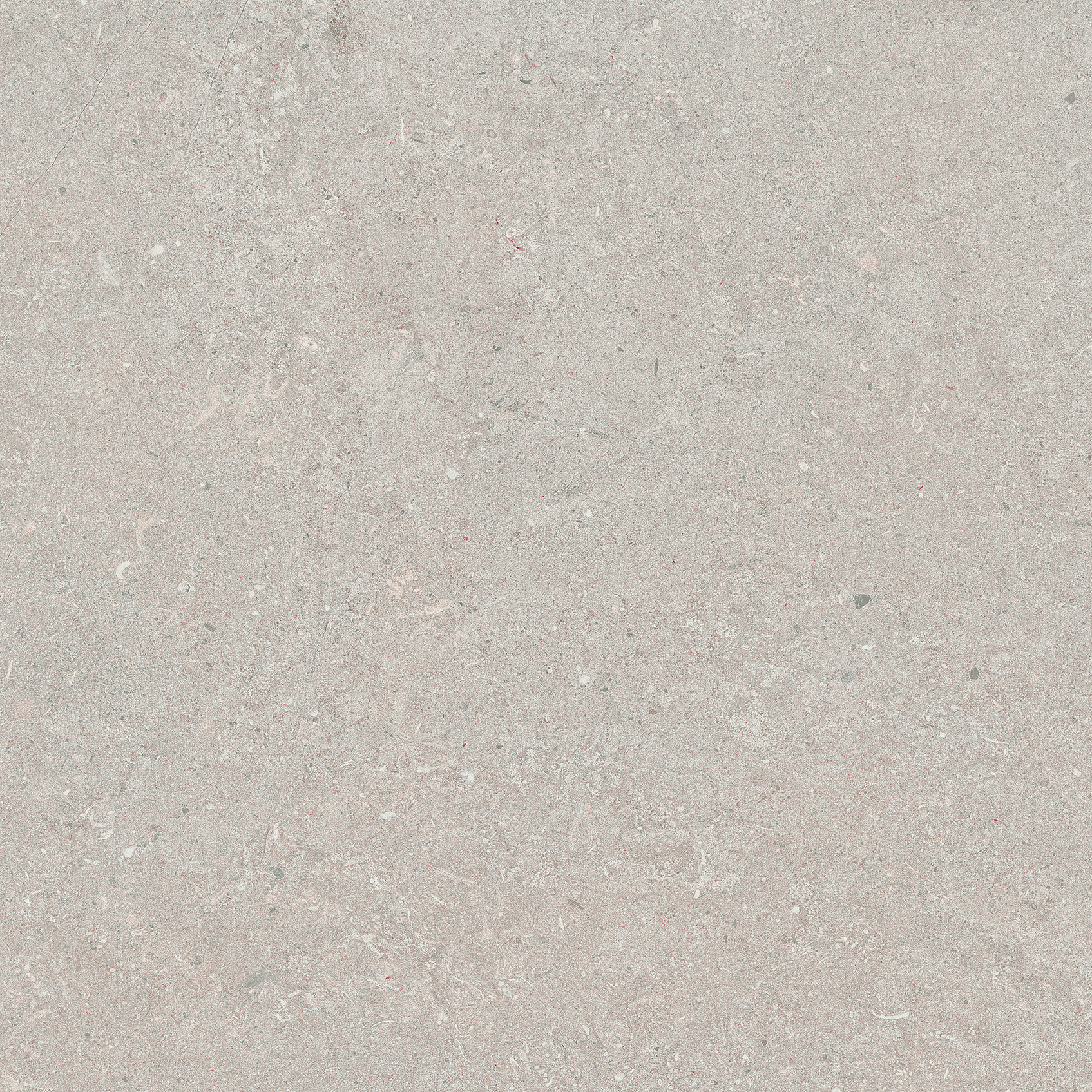 Recer Freestone Grey 60x60R piastrella grigio naturale
