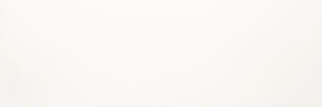 Recer Ice Plain White Matt 30x90R piastrella bianca
