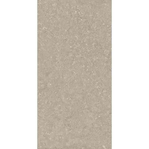 Delconca Wild HWD11 Piastrelle Greige 60x120 8,5mm R10