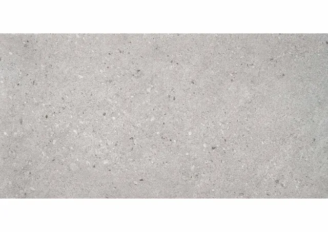 Roca Balance Gris gres antiscivolo grigio
