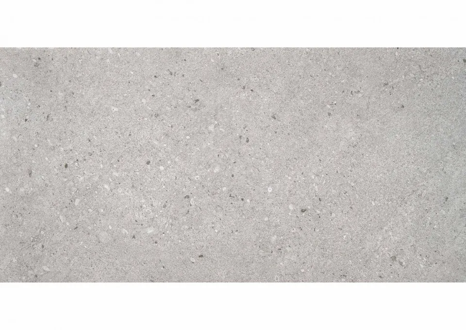 Roca Balance Gris gres antiscivolo grigio