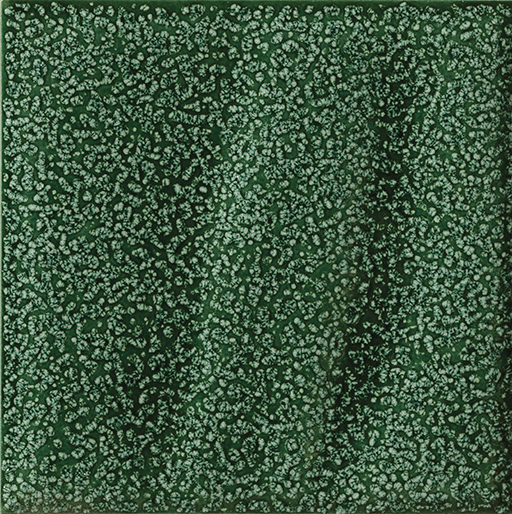 Cerasarda Porto Rotondo Galuchat piastrella ceramica verde