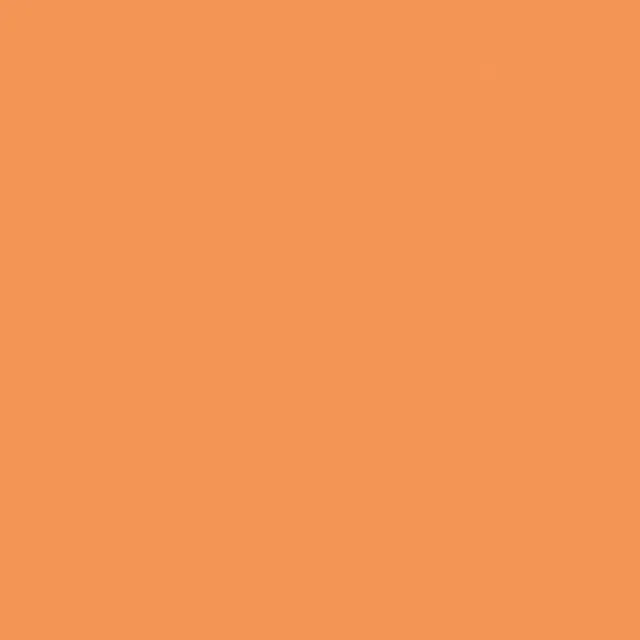 Recer Projectos Laranja M501 piastrella 13x13 campione