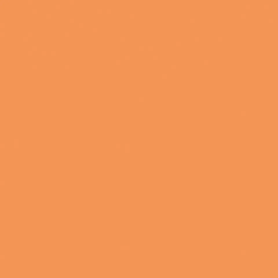 Recer Projectos Laranja M501 piastrella 13x13 campione