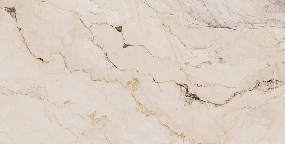 Recer Paonazzo piastrella 60x120R naturale effetto marmo