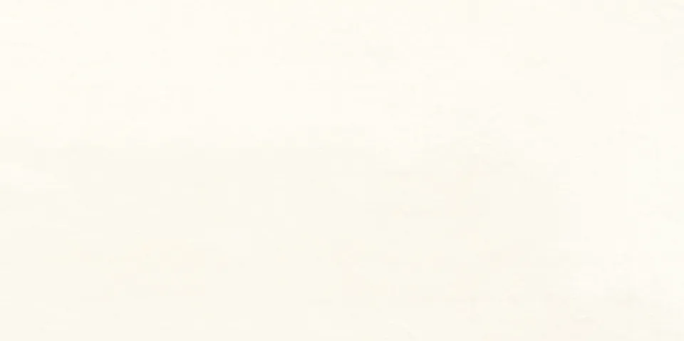 Recer Sphata White Natural piastrella 30x60 bianca opaca