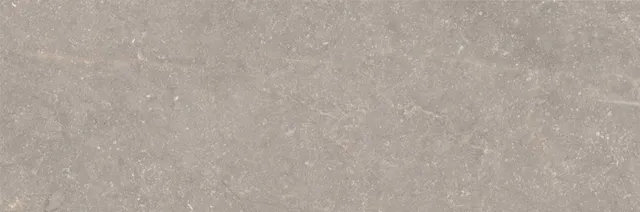 Recer Bluenza Warm Grey 30x90R Piastrella Parete Natural