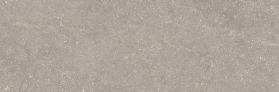 Recer Bluenza Warm Grey 30x90R Piastrella Parete Natural
