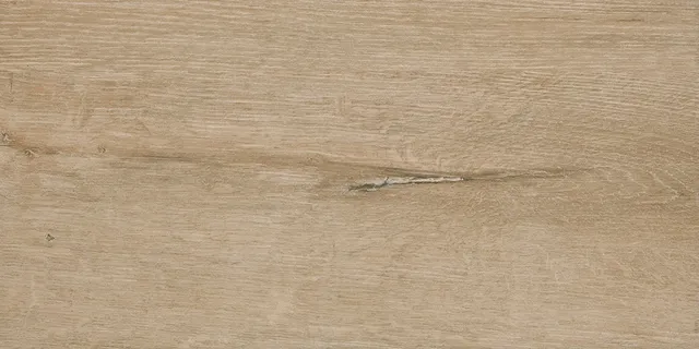 Recer Grace Beige Natural piastrella 30x60 beige