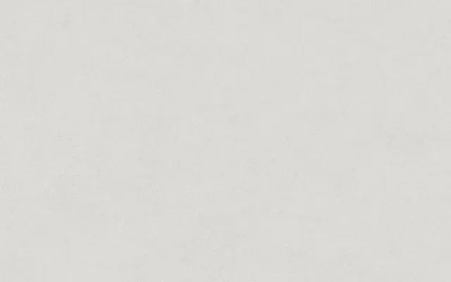 Recer Attitude Grey piastrella 25x40 naturale