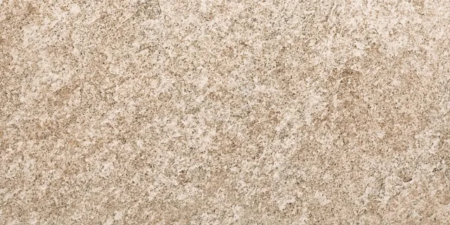 Recer Goidelic Brown piastrella 30x60 naturale marrone