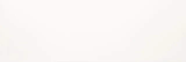 Recer Ice Plain White Matt 30x90R piastrella bianca