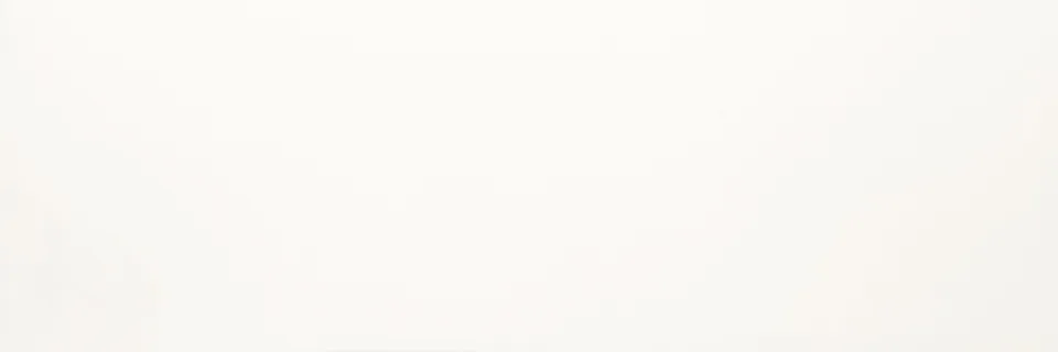 Recer Ice Plain White Matt 30x90R piastrella bianca