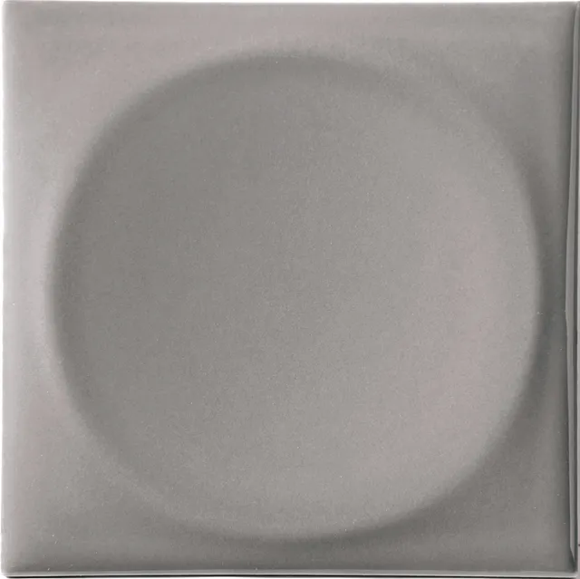 Recer Naprec Master Grey piastrella gres 10x10 campione