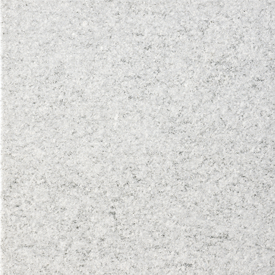 Recer Native Grey piastrella 20x20 naturale