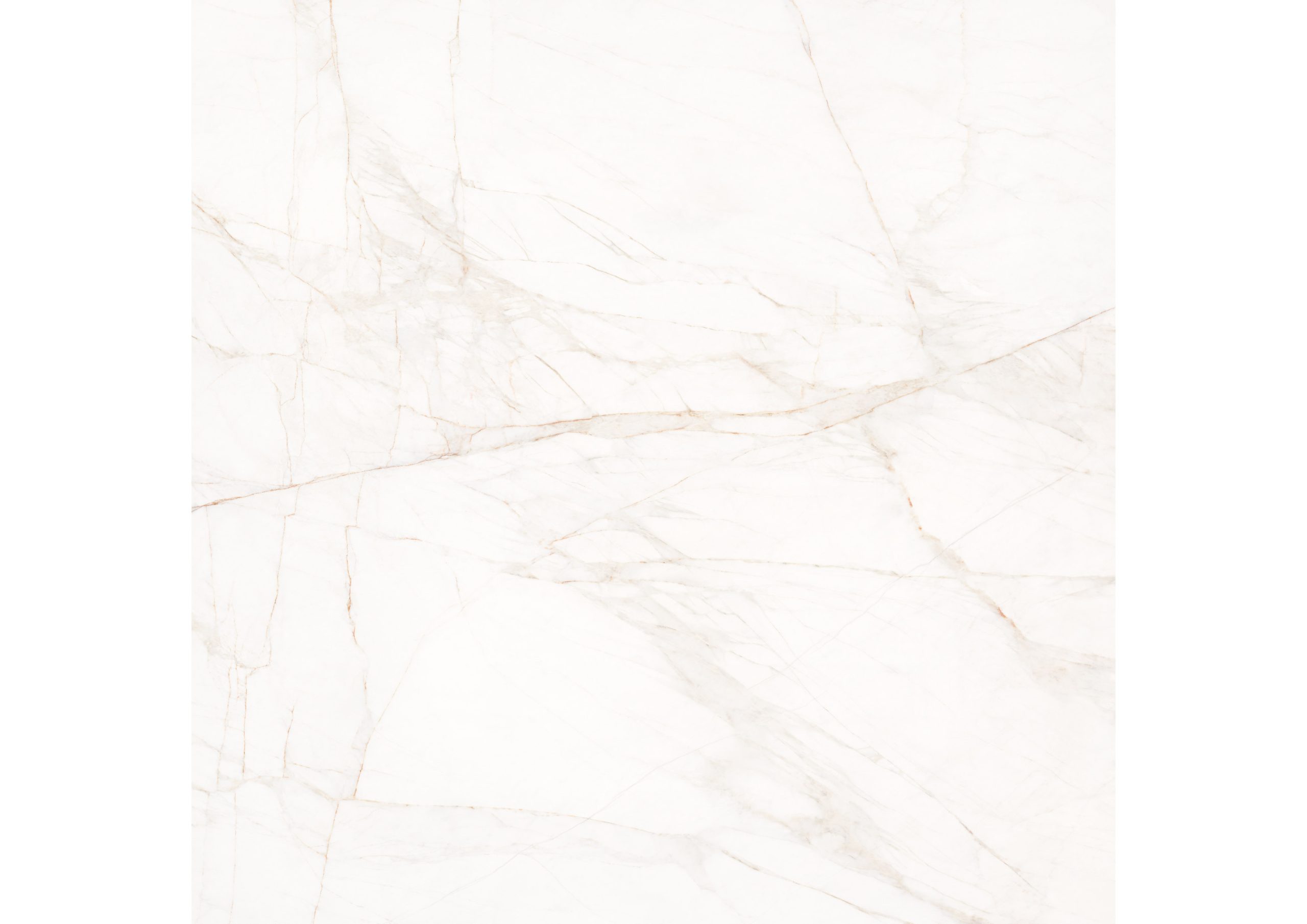 Roca Tiles Marble Dolomita Blanco piastrella bianca