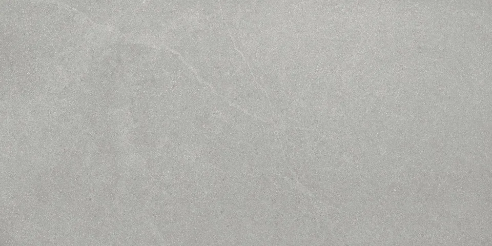 Recer Alliance Dark Grey 60x120R piastrella gres Natural