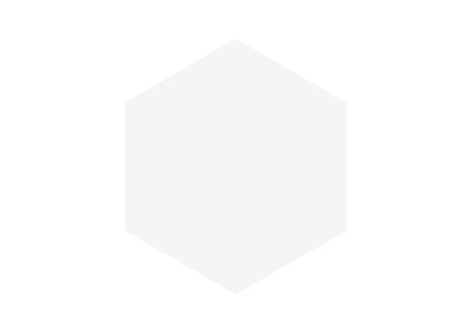 Roca Block Hexagon Blanco Mate piastrella bianca opaca