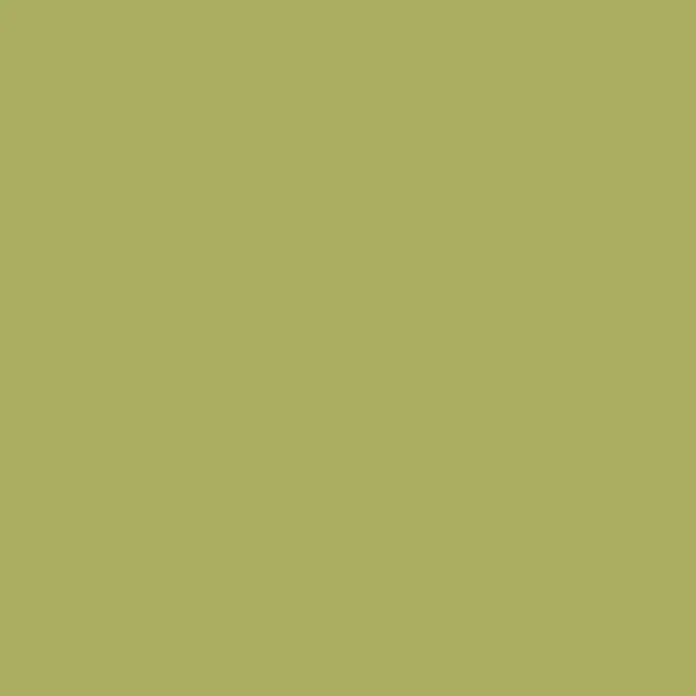 Recer Projectos Verde M156 Piastrella 20x20 Naturale