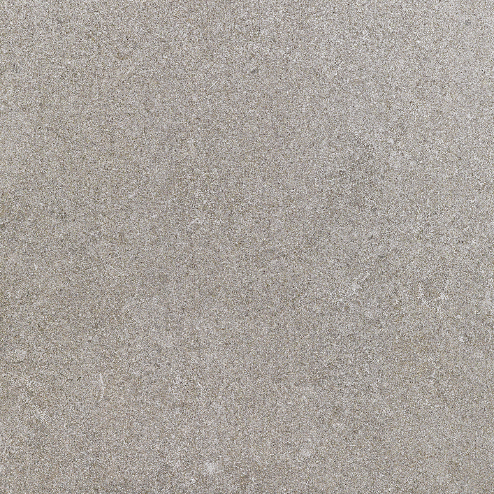 Recer Freestone Dark Grey 60x60 piastrella grigio