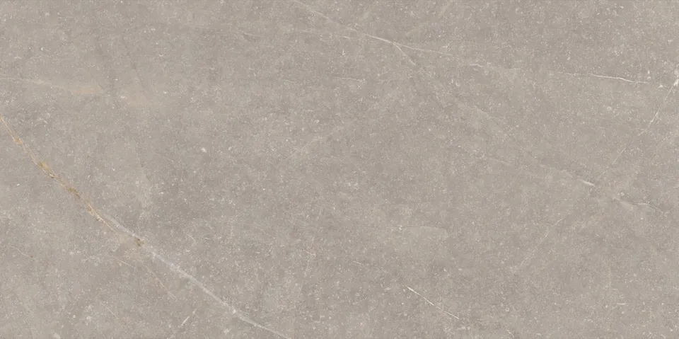 Recer Bluenza Warm Grey 60x120 piastrella grigio rettificata