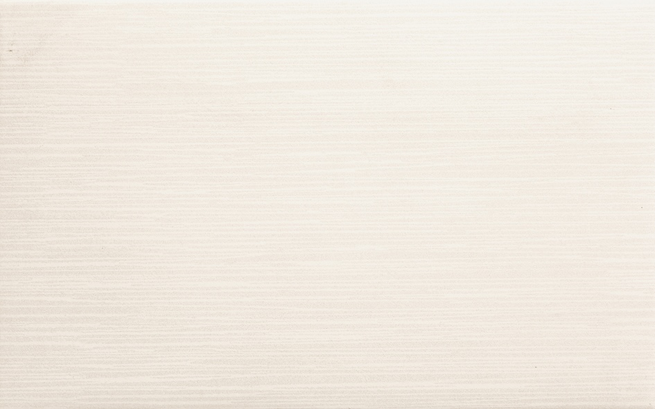 Recer Manlia Grey 25x40 piastrella grigia parete