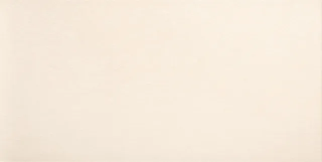 Recer Infinity Pearl 30x60R piastrella lucida perla