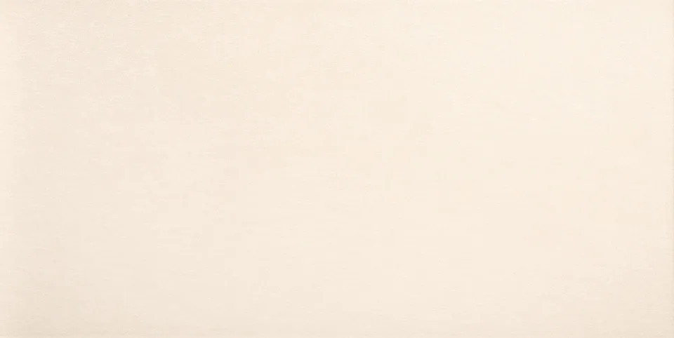 Recer Infinity Pearl piastrella 30x60 perla lucida